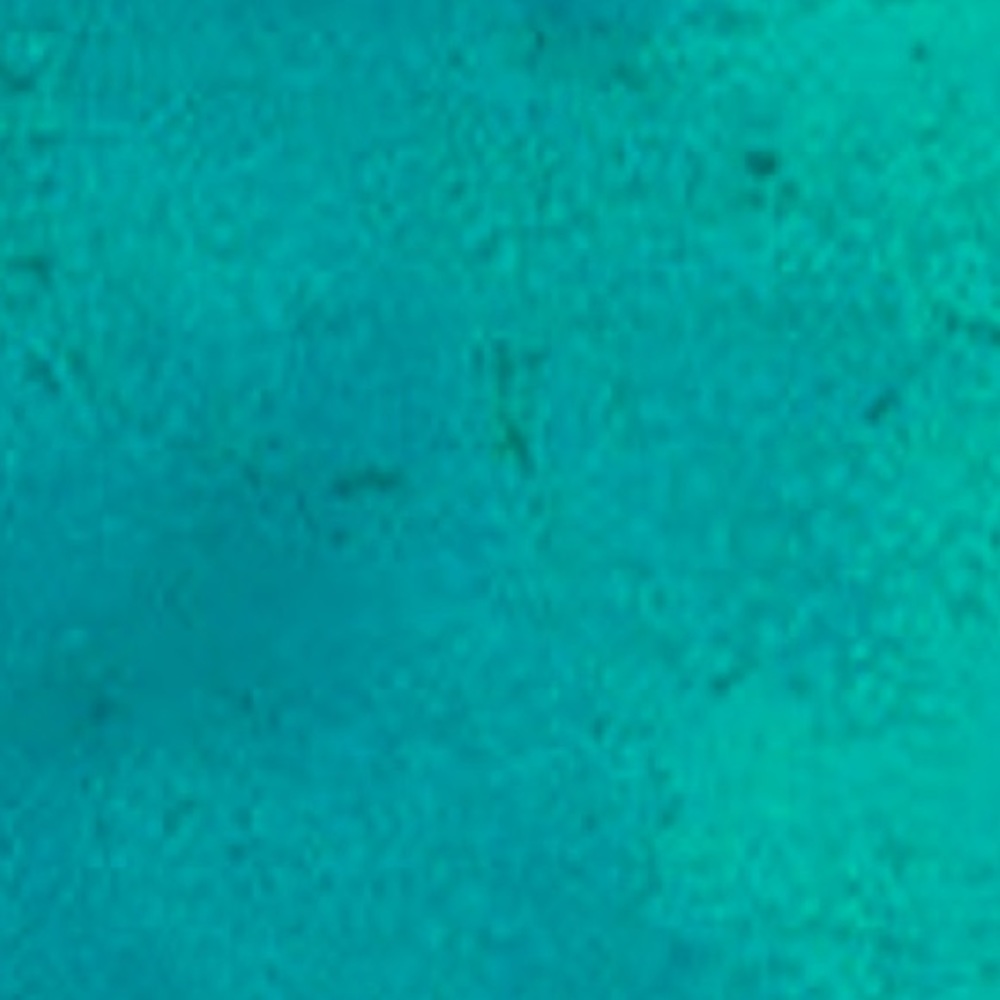 Meet your Posher, India